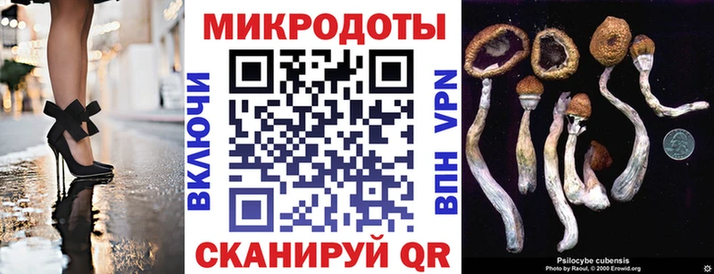 кракен сайт  Козьмодемьянск  Галлюциногенные грибы мицелий 
